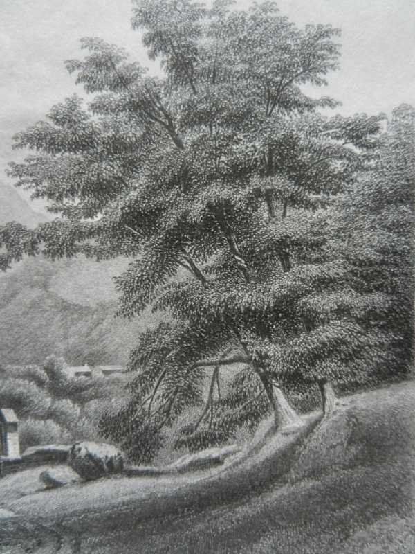 Gravures: Lugano Schloss Beroldingen – D'occasion à Risch par Rischli15 6