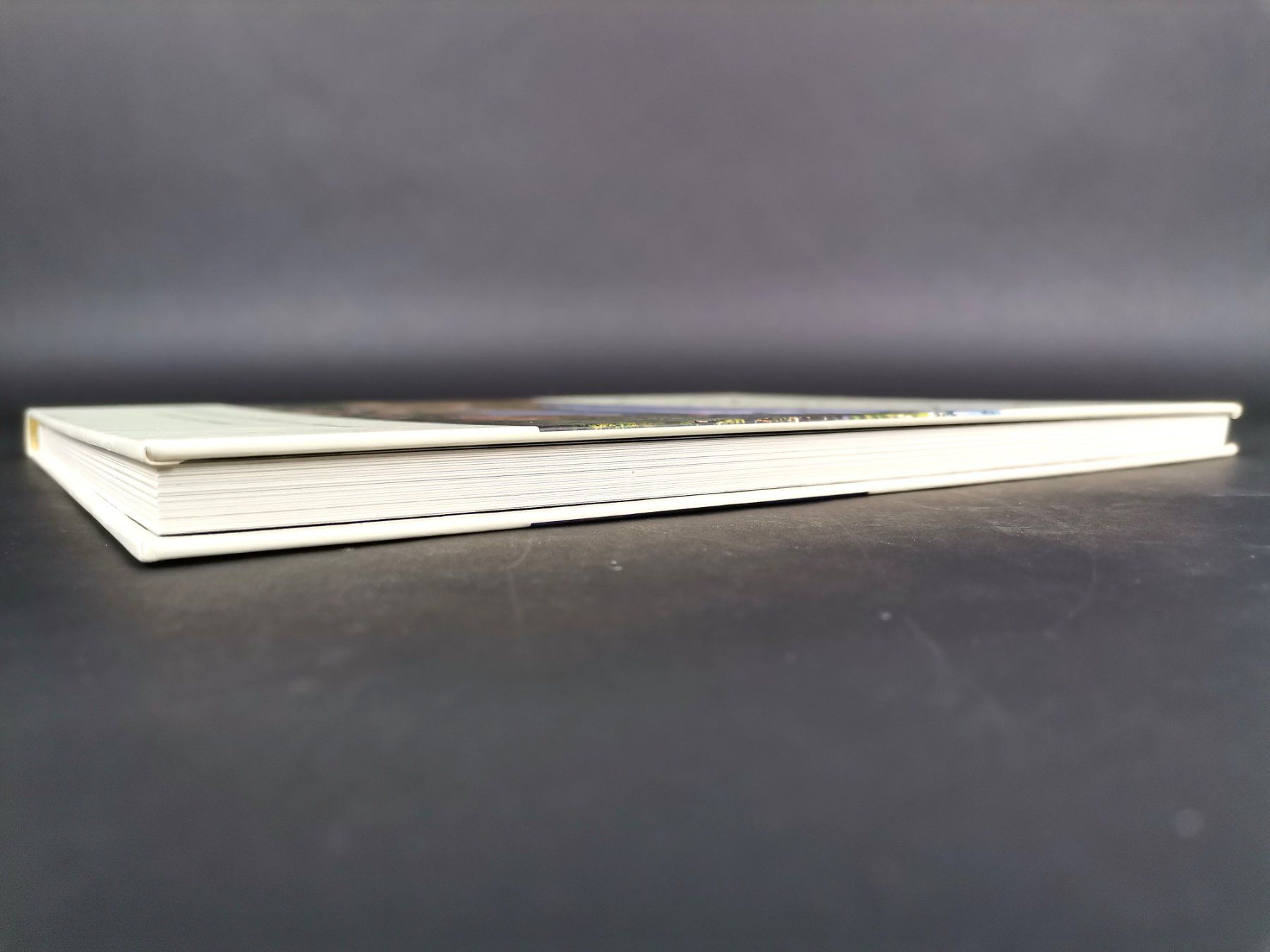 Libri: BUCH Panorama Norwegen – Usato da Schaffhausen venduto da Restwert_SH 6