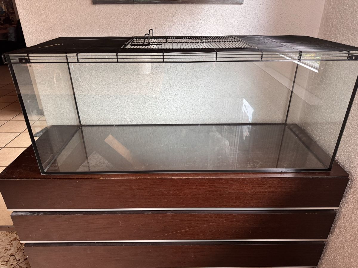 Terrariums: Terrarium – D'occasion à Recherswil par luca_v 1