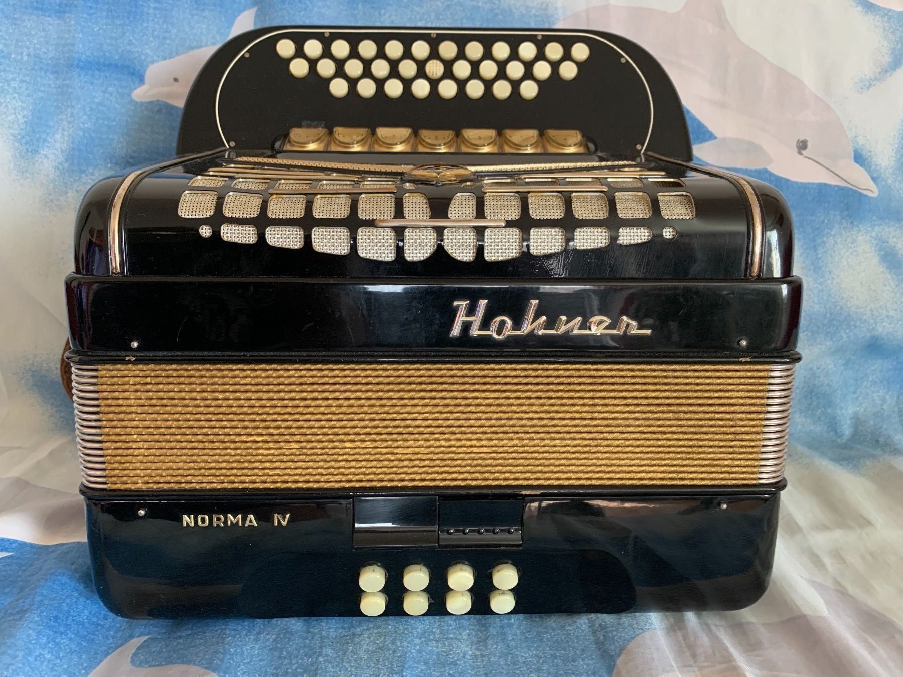 Hohner Strumenti musicali: Diatonisch Akkordeon – Usato da Zürich venduto da Olimpied 7