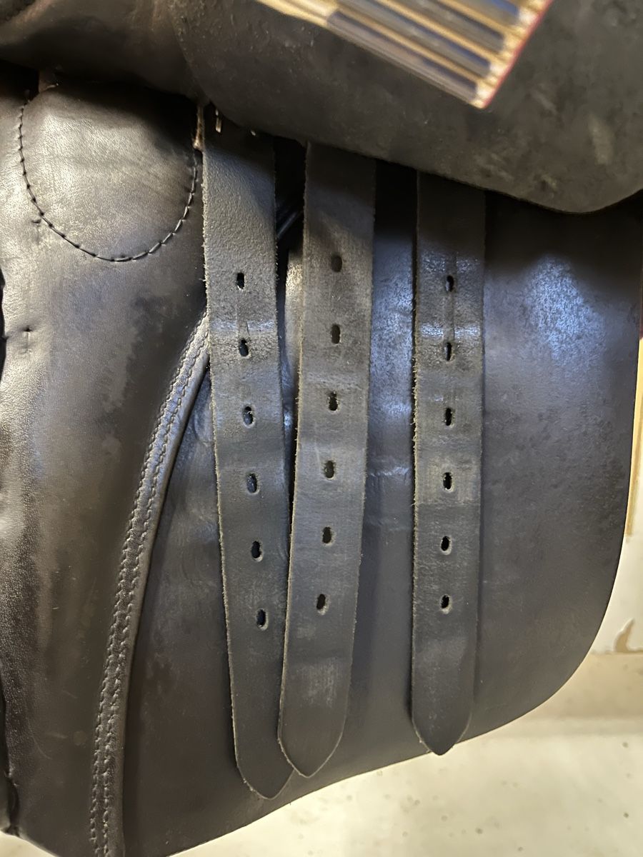 Selle & Accessori: Stübben Sattel Scandica 31 – Usato da Lauperswil venduto da alila04 1