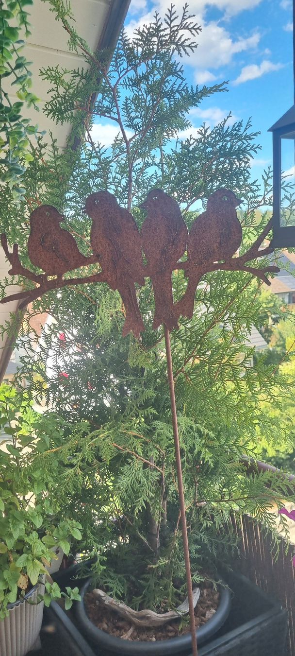 Alle Dekorationen: Gartenstecker Vögel auf Ast Rost Optik  Deko – Gebraucht aus Wiesendangen von A1R1 1