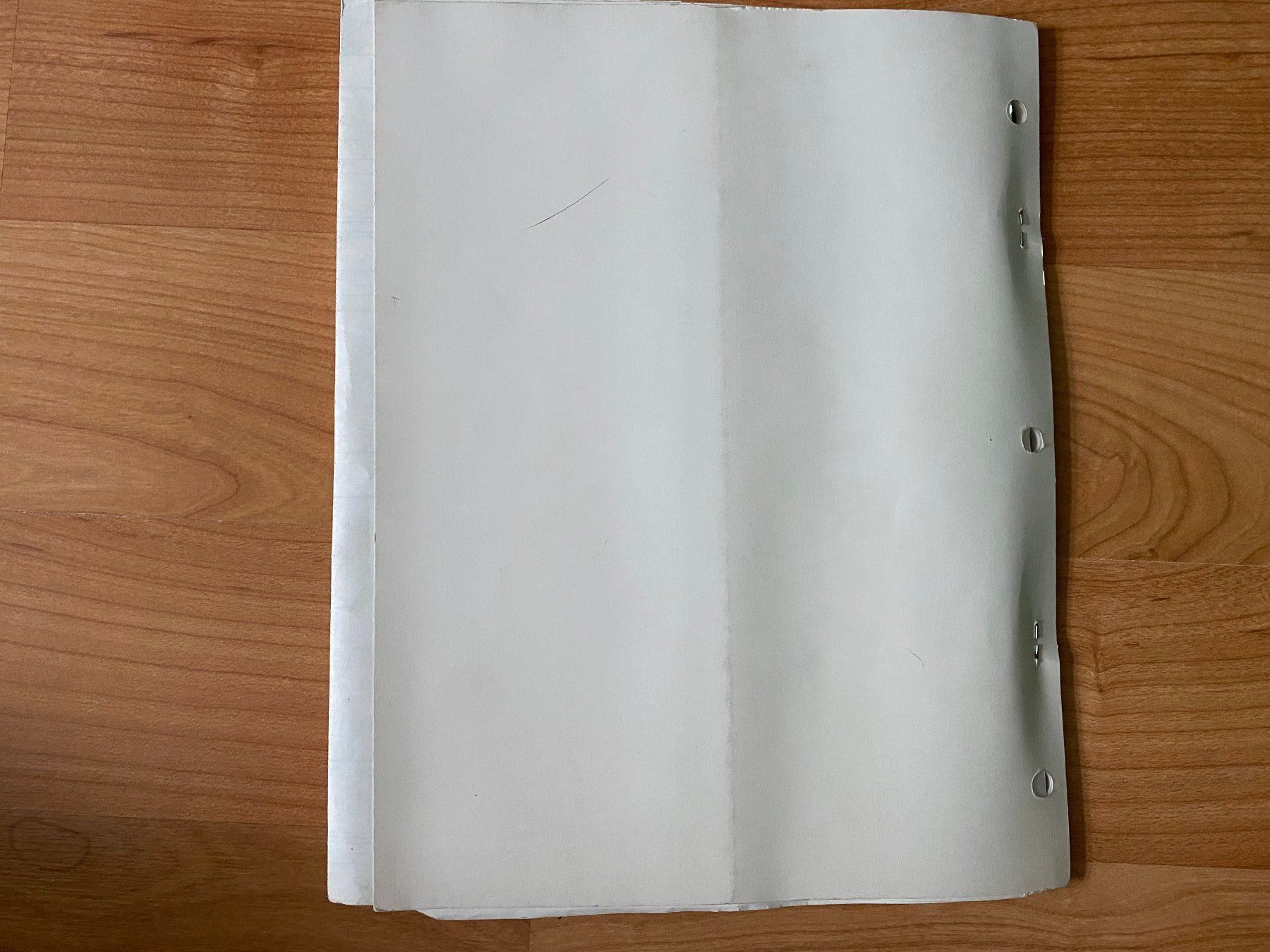 Williams Flipper: Flipper Handbuch – WPC Schematic Manual – Usato da St.Gallen venduto da kingsamas 4