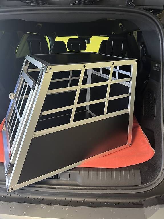 Gabbie, trasporto & Sicurezza: Hunde Transportbox – Usato da Rorschach venduto da dan_gzt8 1