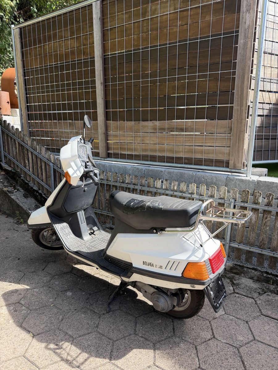 Yamaha Scooter: Yamaha Beluga 125 – Usato da Langnau im Emmental venduto da bertoldo03 1
