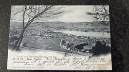 1903 Ansichtskarte Zürich von Uetliberg-Manegg aus. nach Alg