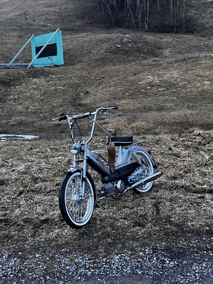 Puch Cyclomoteurs: Puch Maxi S  – D'occasion à Hergiswil NW par cowa_81