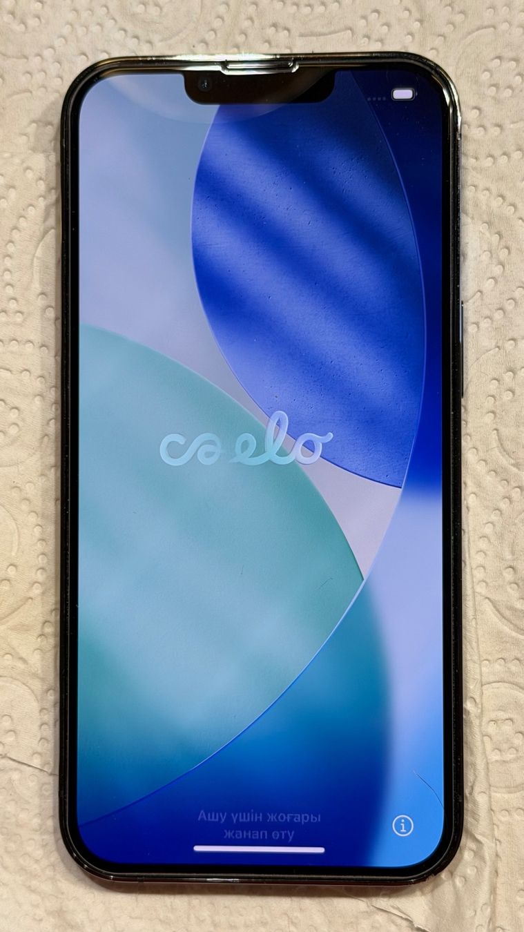 Apple Telefoni cellulari / Smartphones: iPhone 13 Pro Graphite 128 GB - Top Zustand – Usato da Baettwil venduto da Schmidy25 2