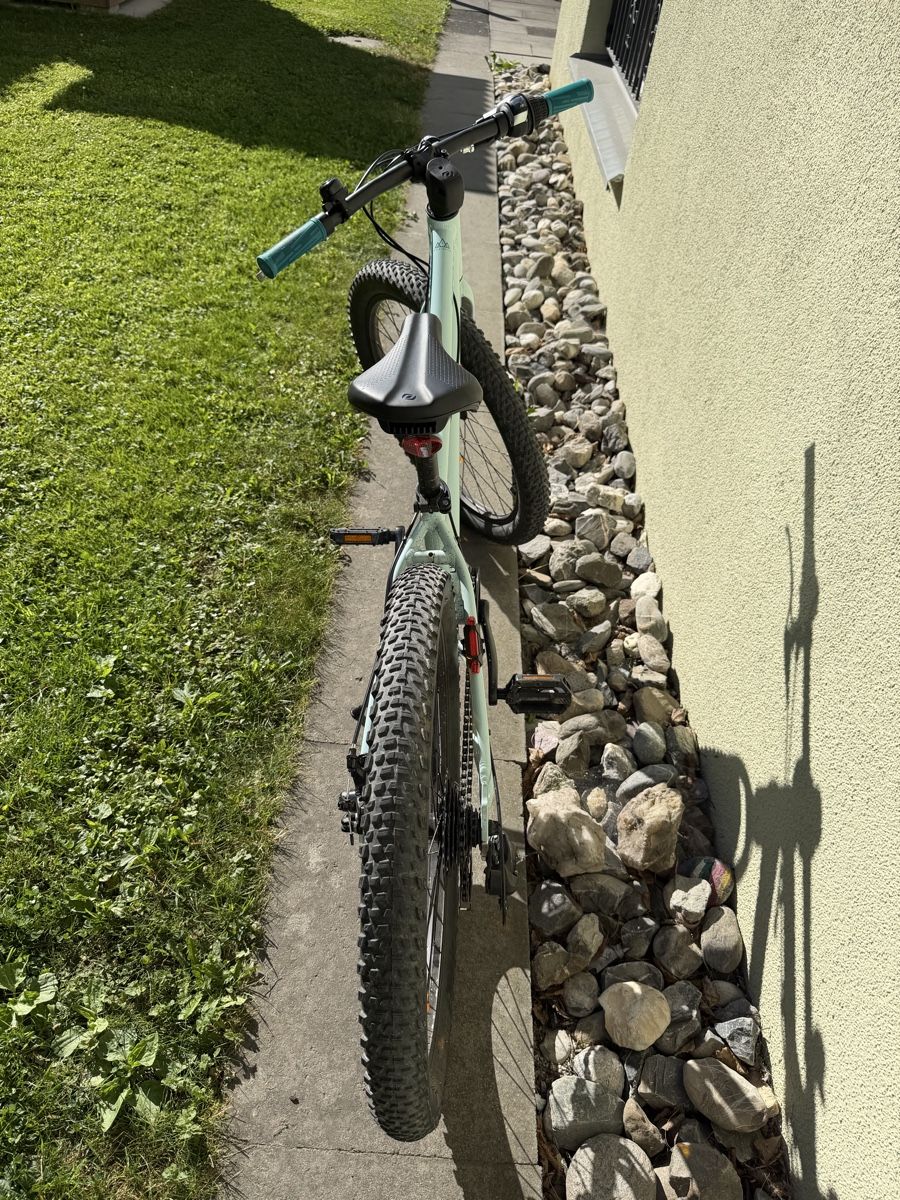 Scott Biciclette: Scott Contessa 24 Zoll Kindervelo  – Usato da Wangs venduto da cutex1 2