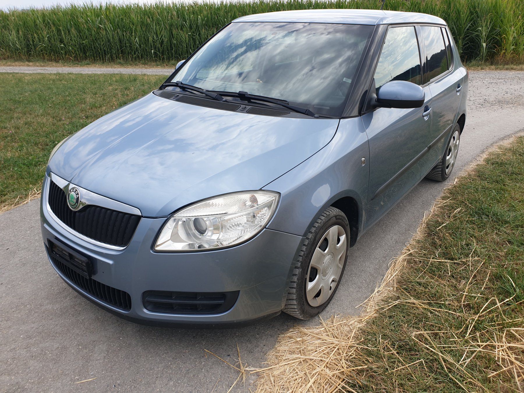 Skoda Automobili: Skoda Fabia 1.4 – Usato da Rickenbach LU venduto da trucker.s 1