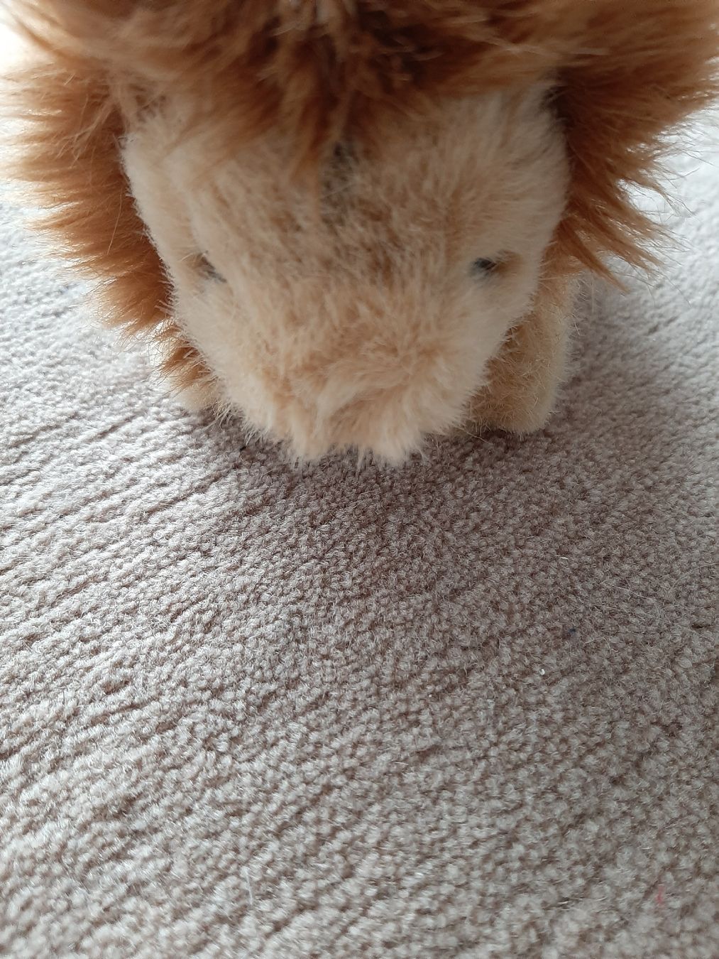 Giocattoli: Peluche Löwe (klein) – Usato da Wittenbach venduto da lukelu 2