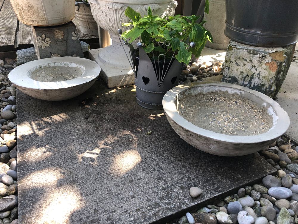 2 Vogeltränke Teich Vogelbad Gartendeko Teich Betonschalen Kaufen auf