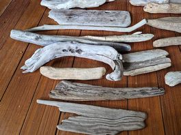Treibholz/ Driftwood für Bastler und kreative Gestalter DIY