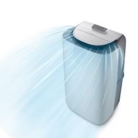 DE-LONGHI Pinguino AP130i GentleJet ​ Mobiles Klimagerät Wei