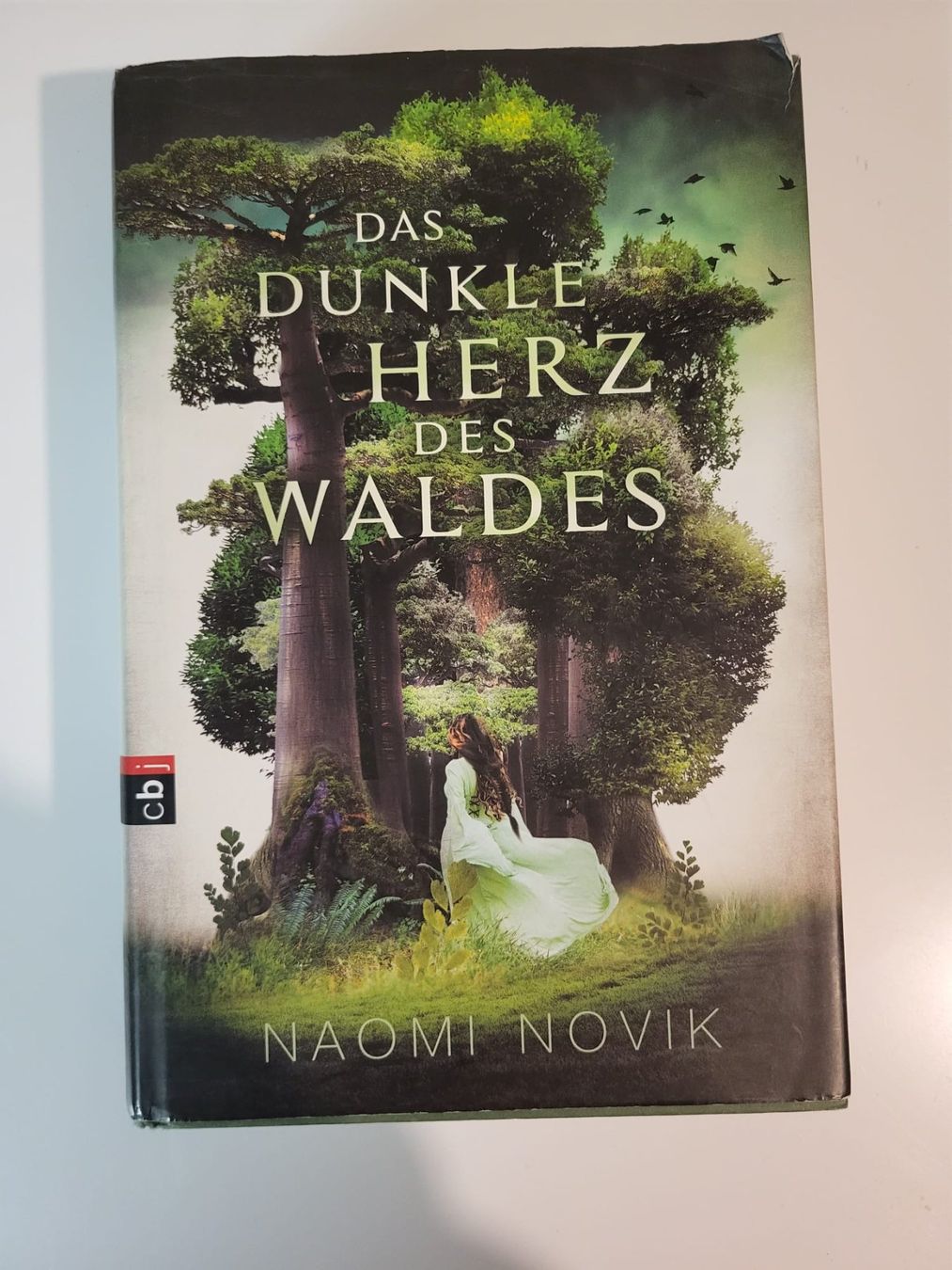 Bücher: Diverse Romane – Gebraucht aus Wynigen von NLe0413 5