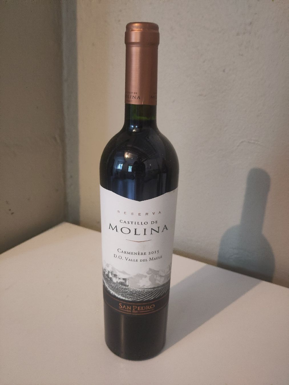 Vino: 6 FL. Castillo de Molina "Carmenère" 2015 – Nuovo (secondo la descrizione) da Basel venduto da Morgenmuffel 1