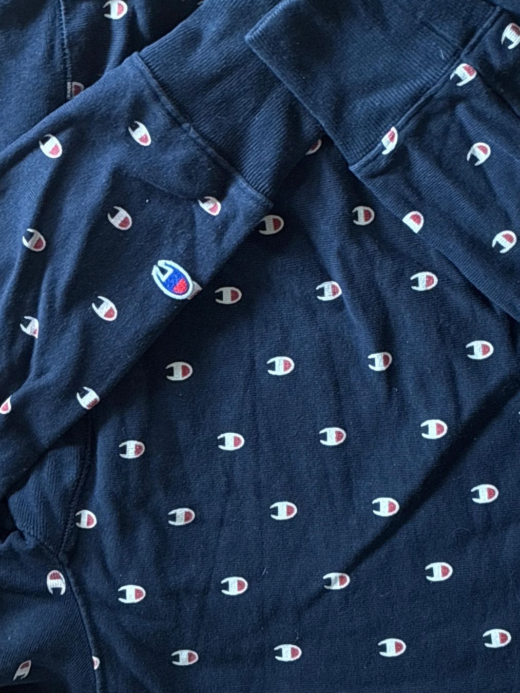 Champion Pullover & Sweatshirts: Champion Allover Logo Sweatshirt Gr. M – Gebraucht aus Bern von fuh_y7ms