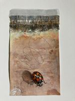 Bild von Tapparel