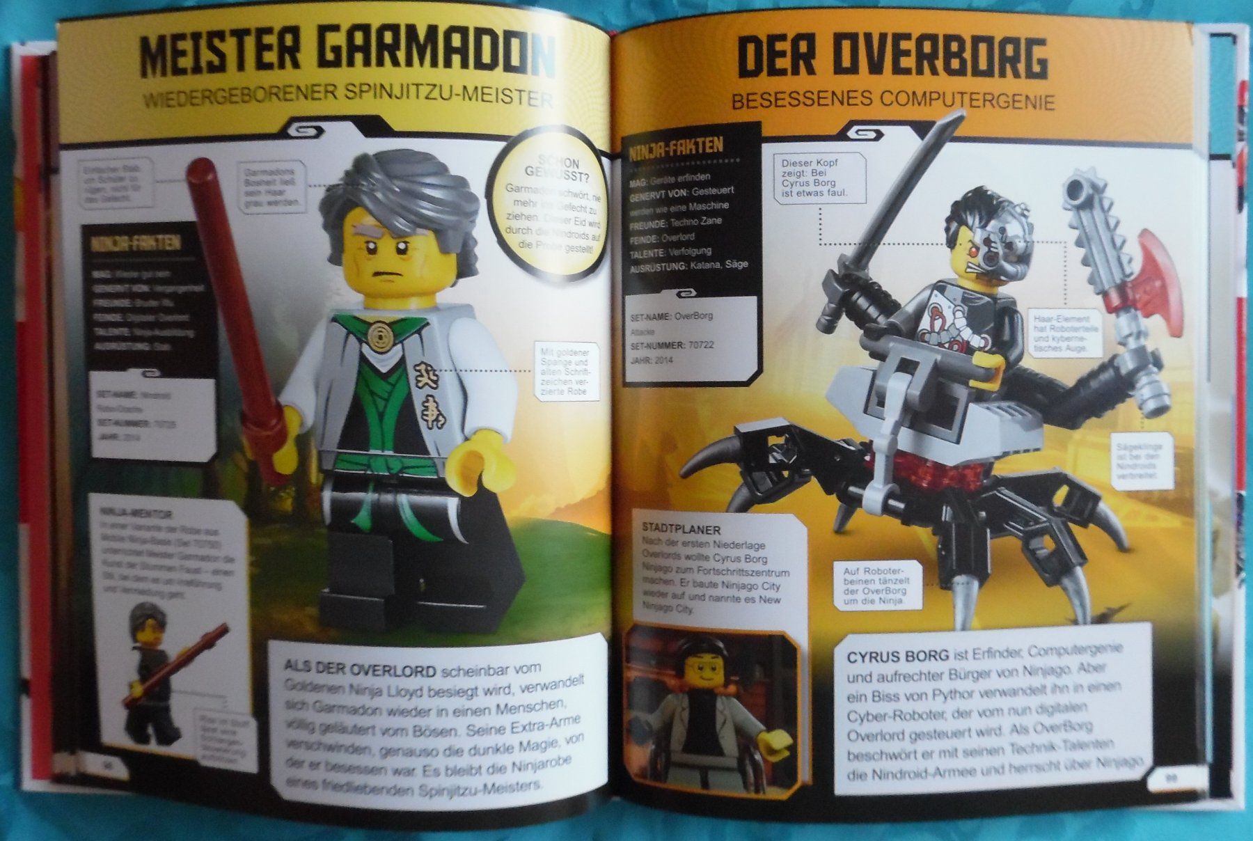 Libri: Lego Ninjago Lexikon – Nuovo (secondo la descrizione) da Bellinzona venduto da Luna093 2