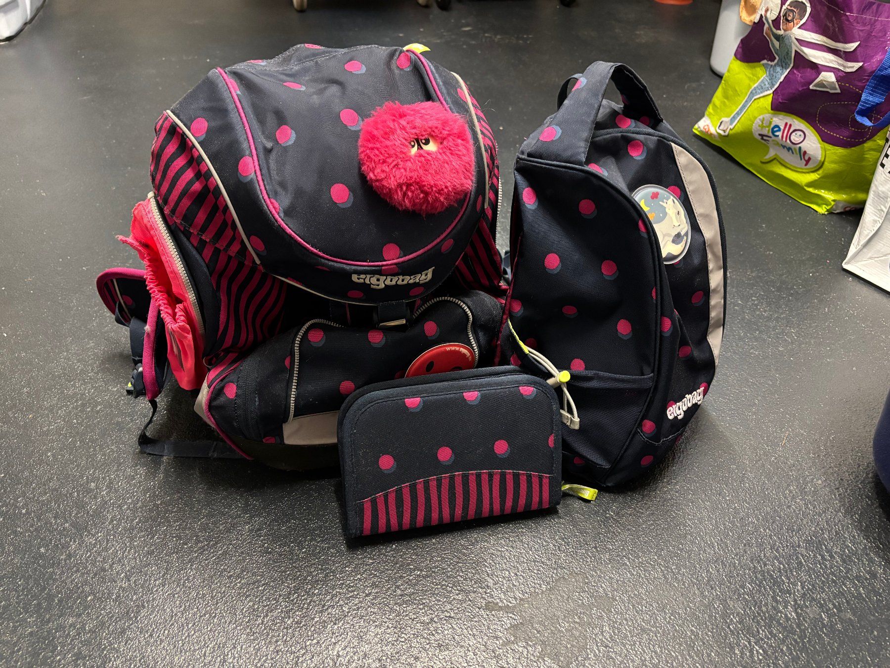 Ergobag Borse & Zaini: Ergobag Schulsack inkl. Etui und Turnsack – Usato da Oberramsern venduto da StefanSiegrist
