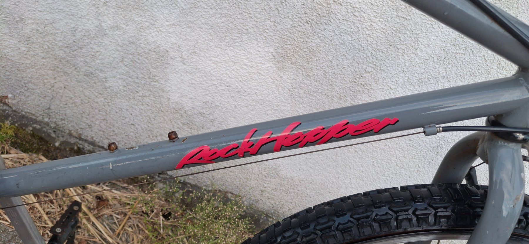 Velos: Kult Mtb Specialized Rock Hopper – Defekt aus Kyburg von JBMNT2020 1