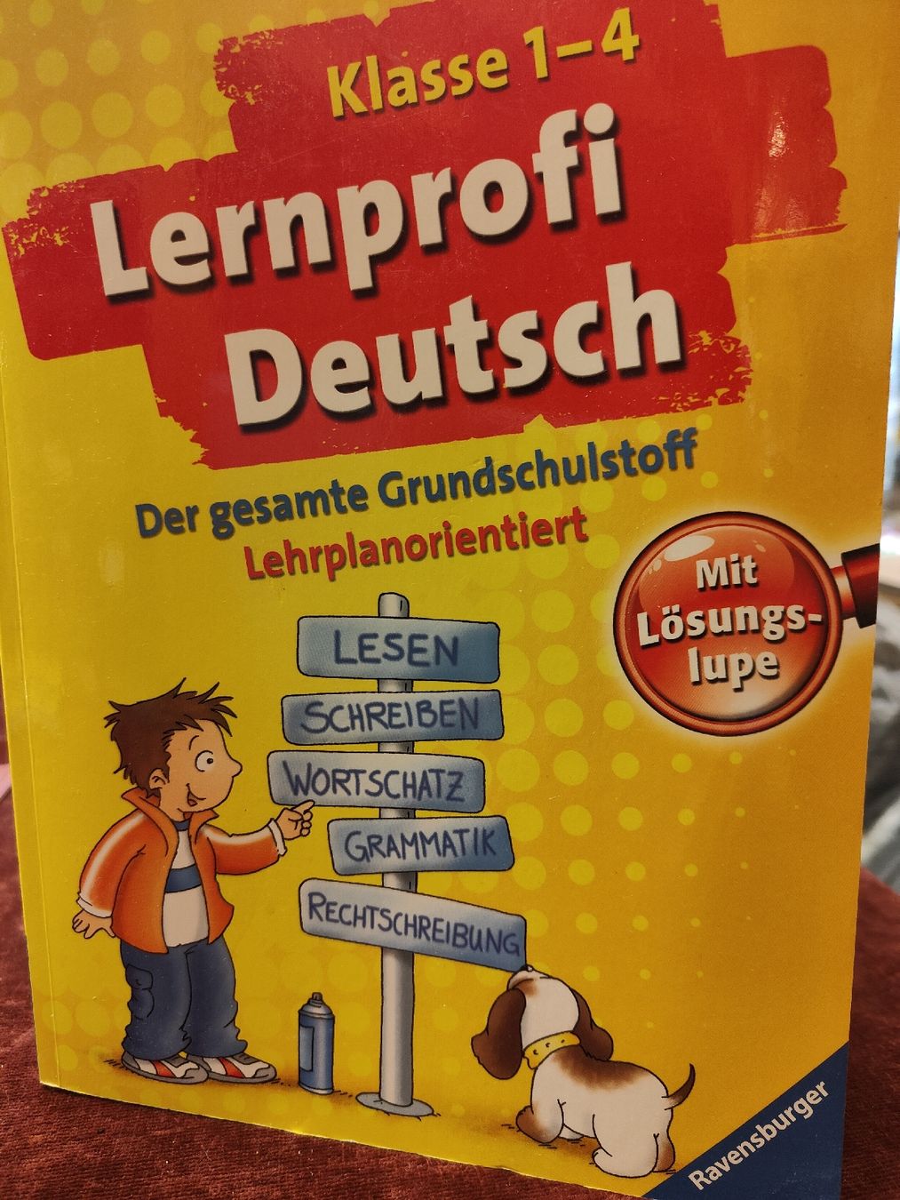 Libri: Lernprofi Deutsch & Sicher durch die 4. Klasse – Nuovo e nell'imballaggio originale da Davos Platz venduto da wauwauin 2