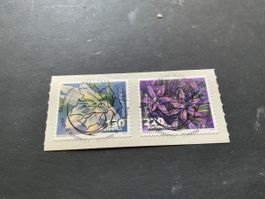 2013 GEMÜSEBLÜTEN ET VOLL EINWANDFREI