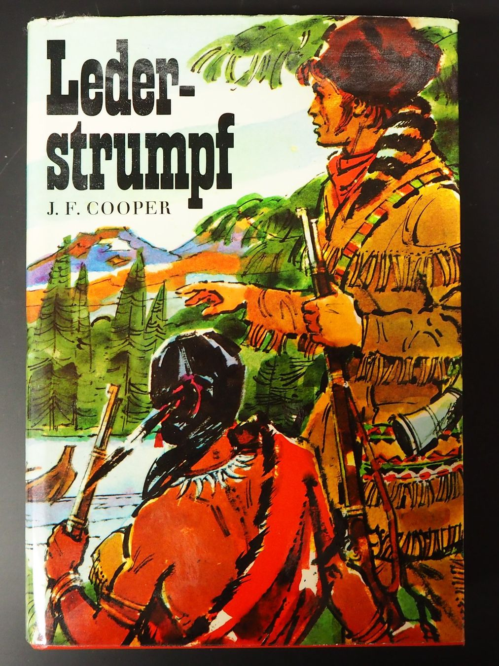 Libri: Lederstrumpf vom J.F. Cooper – Usato da Chur venduto da big_5zx8