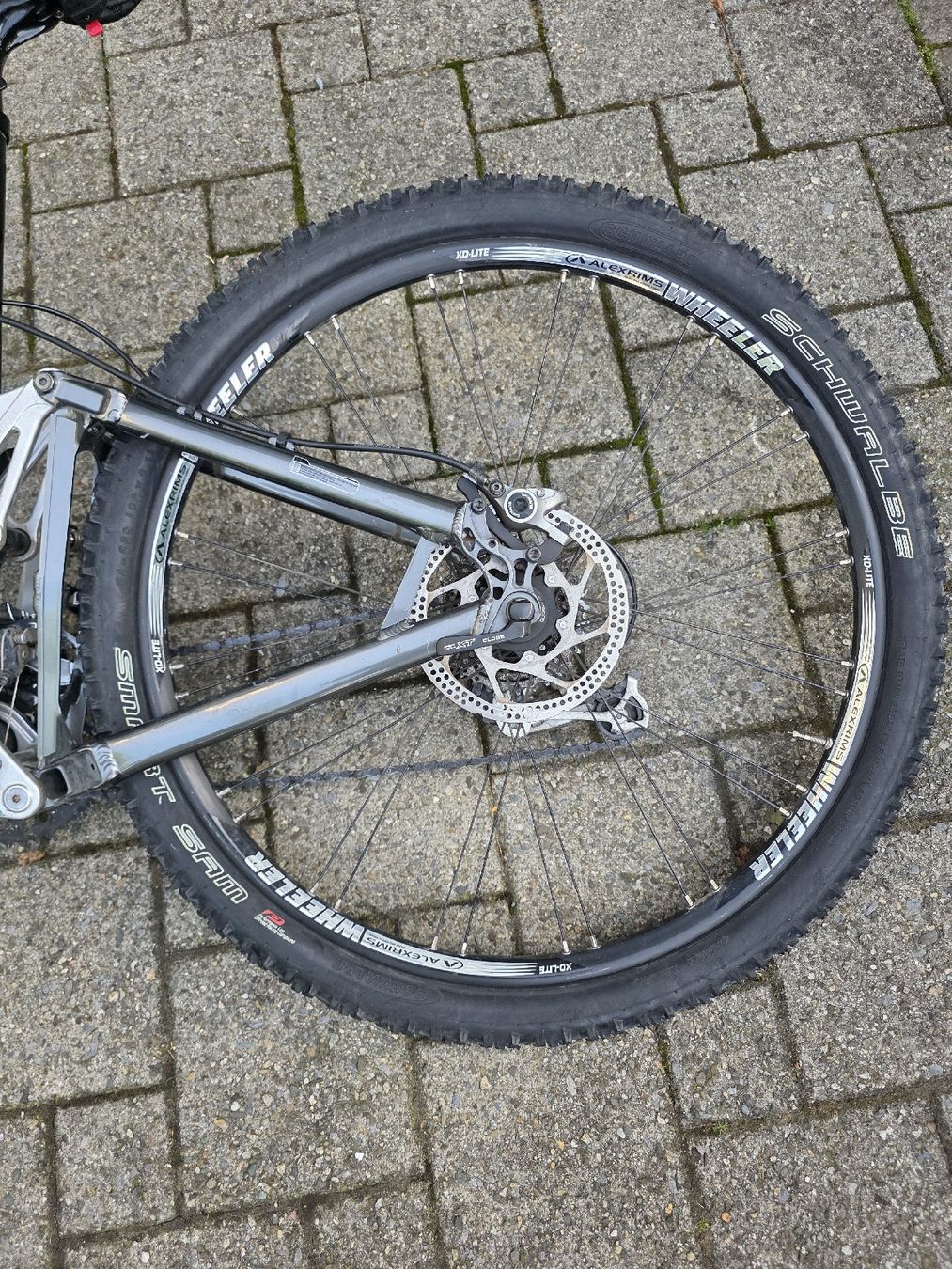Wheeler Biciclette: Mountainbike Wheeler – Usato da Baar venduto da zagi09 4