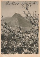 AK Castagnola gel. 1.1.1937