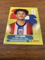 Panini Nor 20