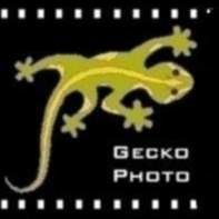 Profile image of geckophoto