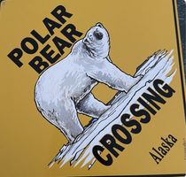 Blechschild Polar Bear Crossing Motiv gelb quadratisch