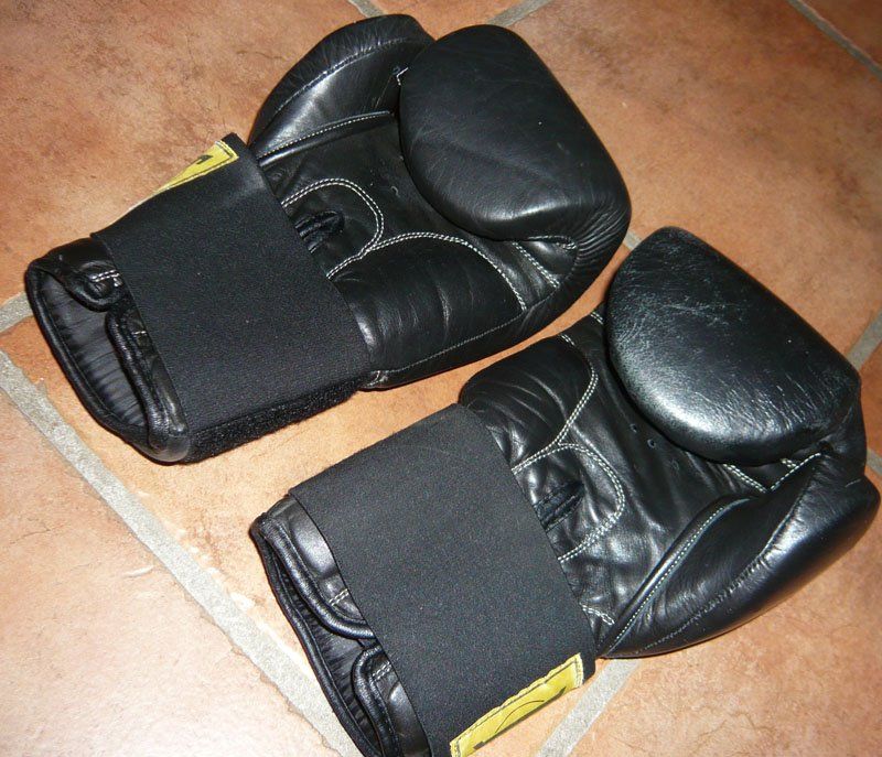 Everlast Guanti & manicotti: Box-Handschuhe / Boxhandschuhe Gr S – Usato da Ruggell venduto da Dolce9 1