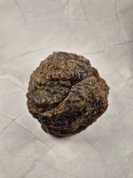 Ambre brut naturel baltique - 764g