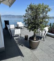 Gartenlounge mit schwarzem Loungetisch