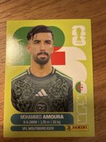 Panini Fifa ALG 20