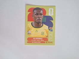 Panini WM 26 - Yaya Sithole- RSA 15