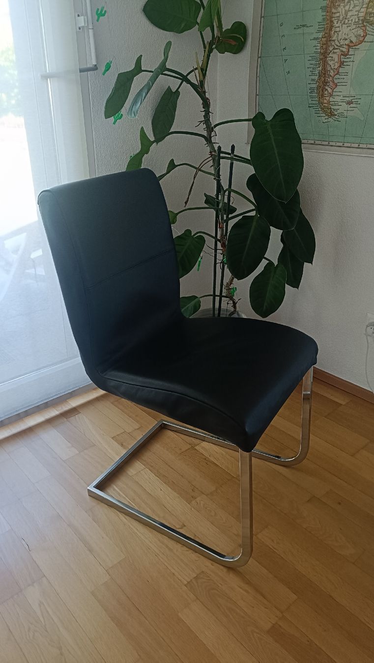 Sedie: Freischwinger-Stuhl - Leder - in Schwarz – Usato da Willisau venduto da mustanggti81 2