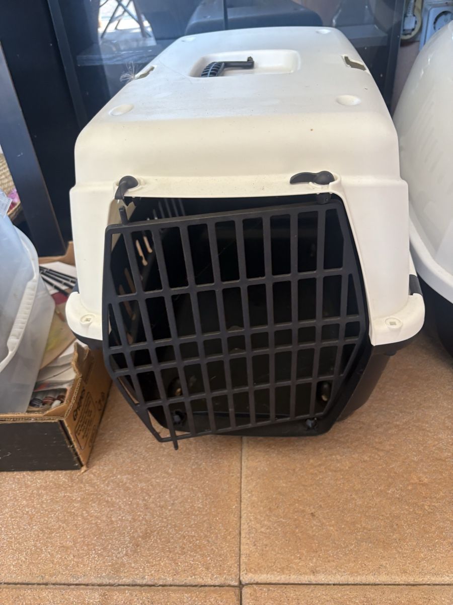 Niches, paniers: Katzentransportbox  – Neuf (Voir description) à aarwangen par mikemog
