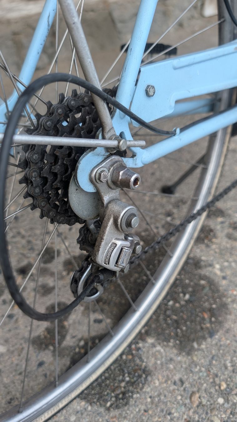 Cilo Velos: Damenrad hellblau mit Korb – Gebraucht aus Falera von rsim91 2