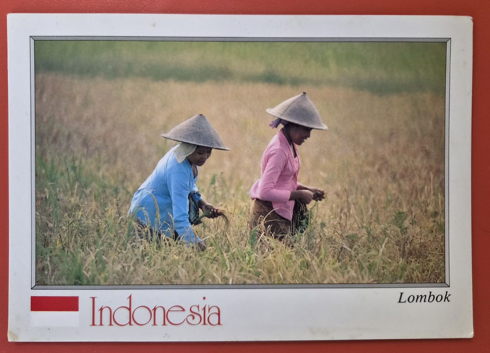 Cartoline postali: Lombok Indonesien 1992 – Usato da Melchnau venduto da Arthurius