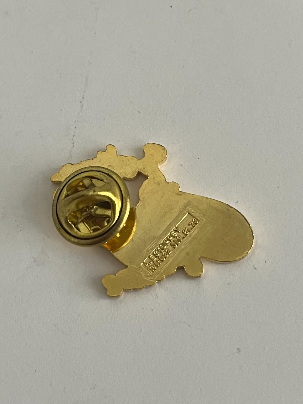 Plaquettes & Badges: Pin Satus Turnverein – D'occasion à Dietikon par sch_w2tw 1