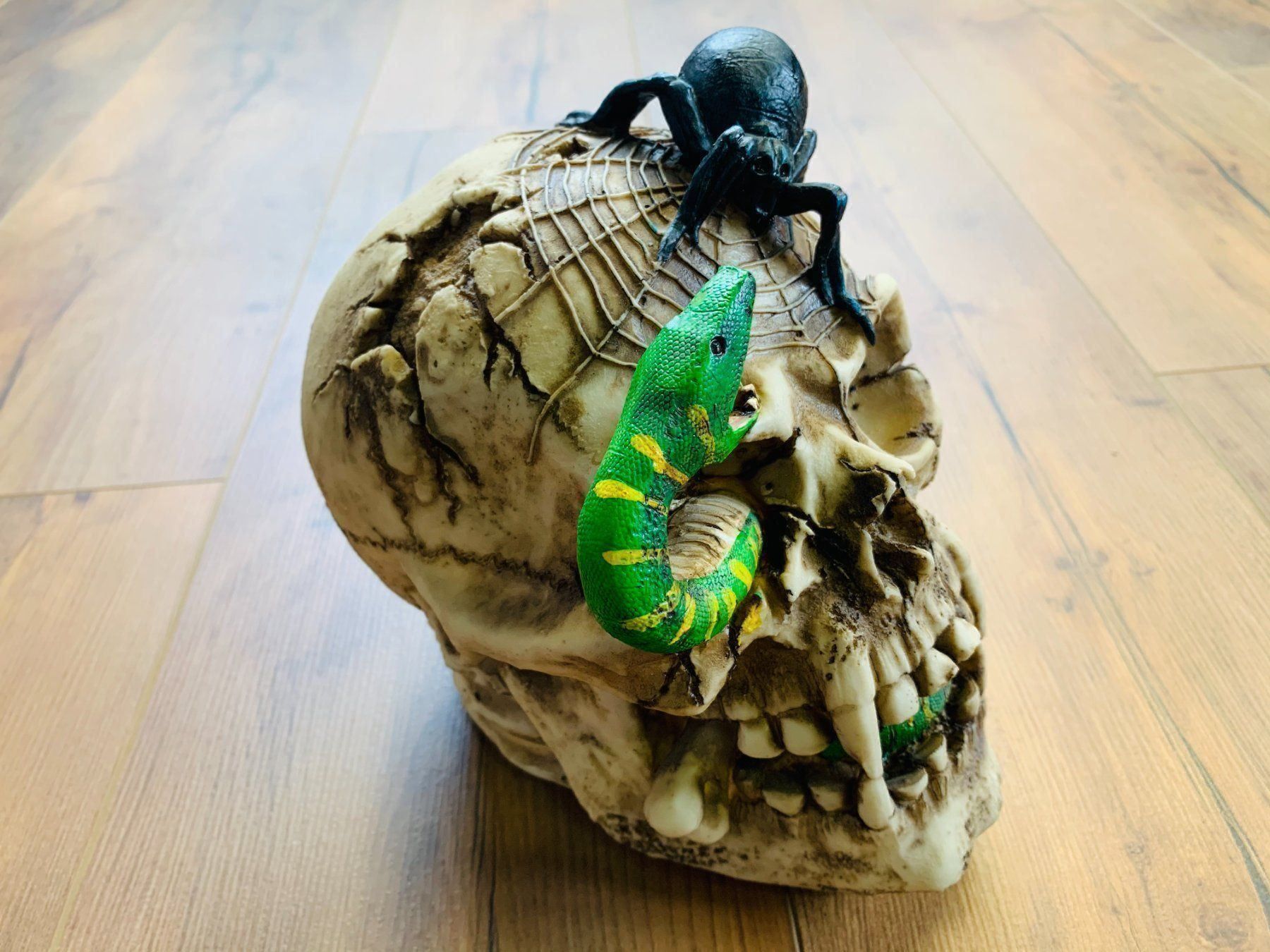 Sculture & Statue: Totenschädel Schädel SKULL Spinne 22cm NEU – Nuovo e nell'imballaggio originale da Bergdietikon venduto da shopAgent