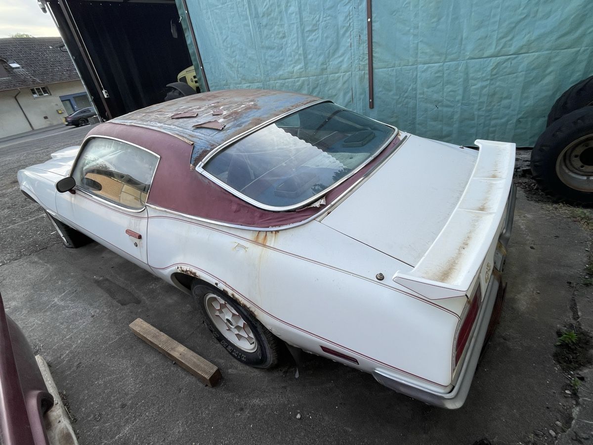 Pontiac Automobili: Pontiac Firebird Formula 400, 1971 – Difettoso da Zetzwil venduto da Manilausg 3