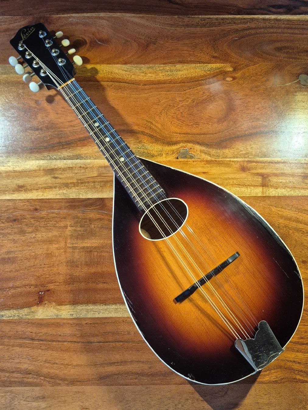 Strumenti musicali: Mandoline Levin 54 Taranto 1963 – Usato da Winterthur venduto da NorrSydGuitars