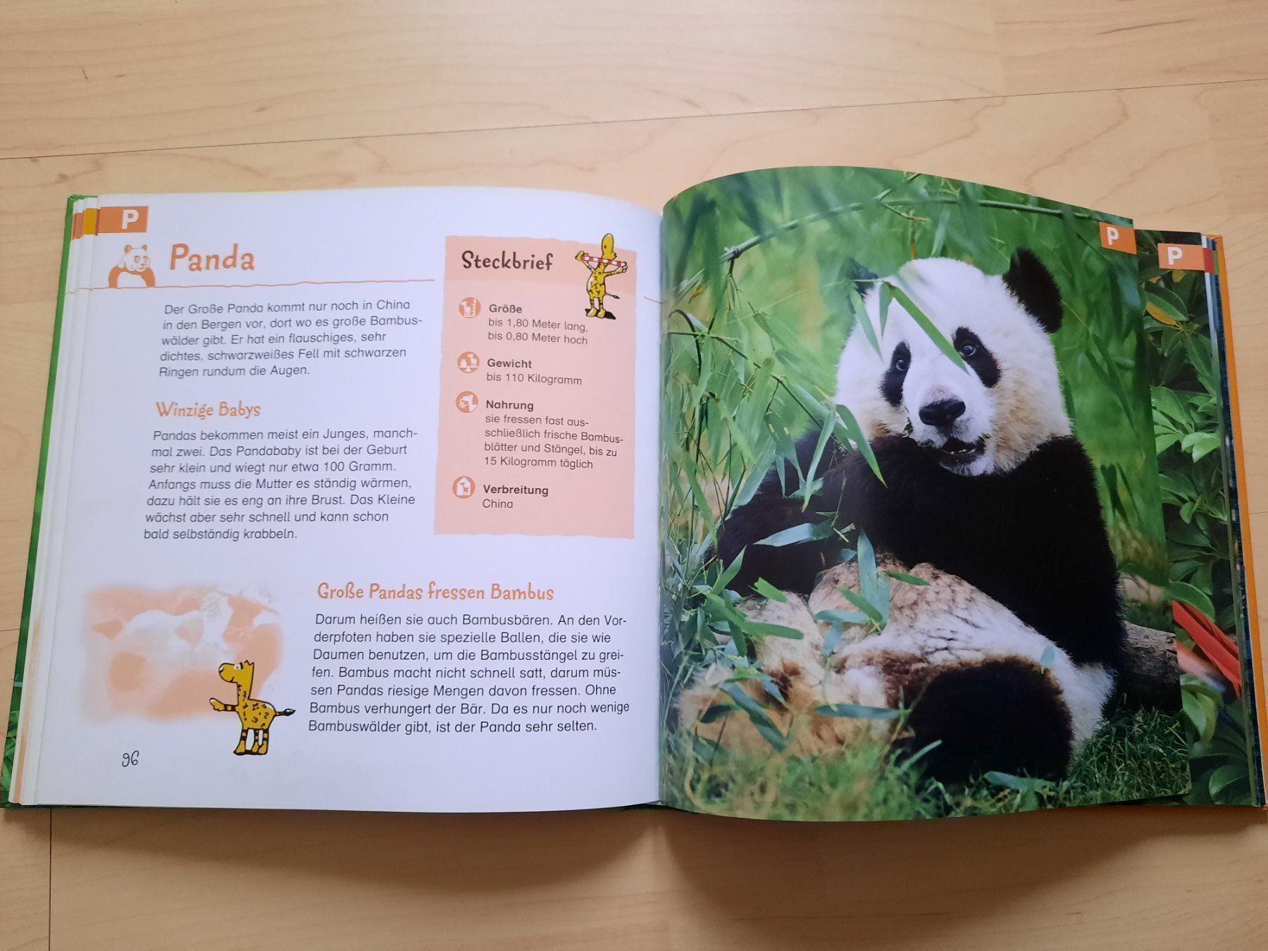 Libri: Mein erstes Bildlexikon der Tiere – Usato da Niederglatt ZH venduto da Bobsli 1