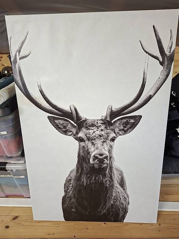 Posters & Illustrations: Bild – D'occasion à Grosswangen par _Ra