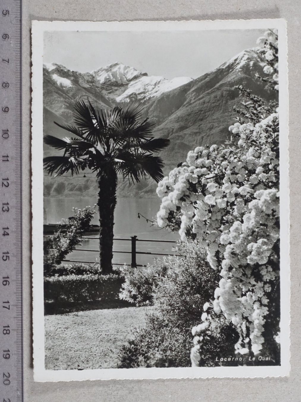 Cartoline postali: Locarno, 1951 – Usato da Lenzburg venduto da fh1