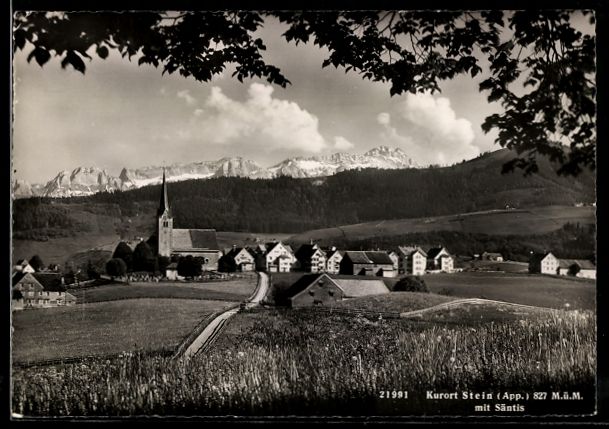 Ansichtskarten: Stein /App., Dorf mit Kirche und Säntis – Gebraucht aus Berlin von bartko-reher